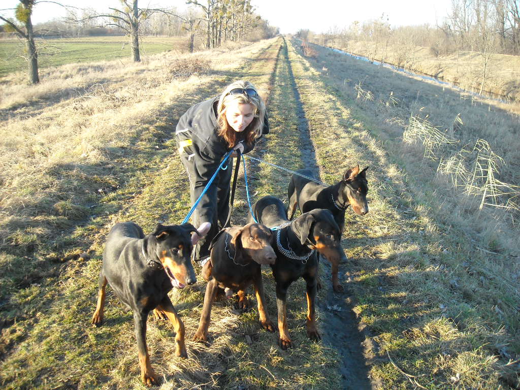 januar 2009 Alan, Dora,Sierra a Sanny.jpg